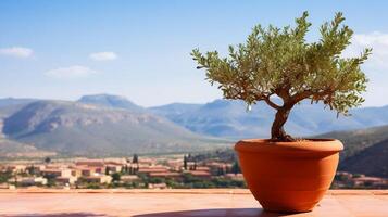 Olive Baum im terra Cotta Lehm Topf auf Weiß Terrasse unter klar Blau Himmel mit schön Berge Aussicht generativ ai foto