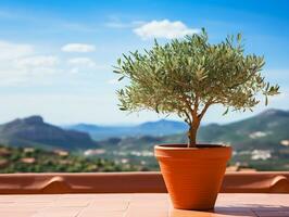 Olive Baum im terra Cotta Lehm Topf auf Weiß Terrasse unter klar Blau Himmel mit schön Berge Aussicht generativ ai foto