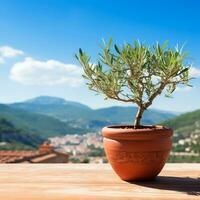 Olive Baum im terra Cotta Lehm Topf auf Weiß Terrasse unter klar Blau Himmel mit schön Berge Aussicht generativ ai foto