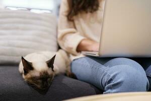 Frau Arbeiten von Zuhause mit Katze. Katze schlafend auf das Laptop Klaviatur. Assistent Katze Arbeiten beim Laptop foto