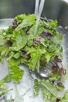 waschen das Salat Grüns foto