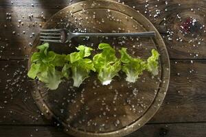 Teller Salat foto