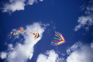 bunt Drachen im das Himmel foto