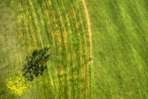 Golf Feld Aussicht von über foto