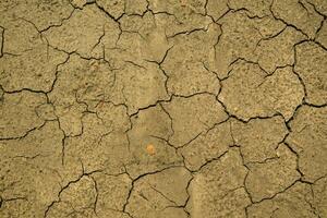 Land beschädigt durch Dürre foto