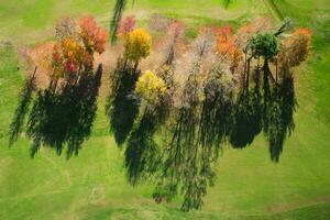 Herbst gesehen von über foto