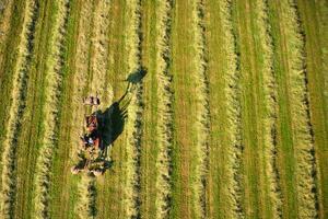 trocken das Heu im das öffnen Feld foto