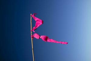 Damen Badeanzug zu trocken im das Wind wie ein Flagge foto