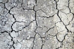 das Auswirkungen von Dürre auf das Erde foto