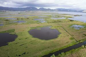 Antenne Aussicht von das sumpfig Bereich von See Massaciuccoli foto