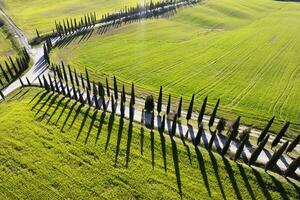 Antenne Fotografie von ein Weiß Straße im maremma foto