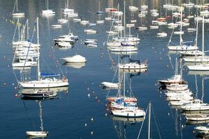 das Boote sind alle Weiß foto