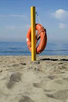 zwei Leben Bewahrer auf ein Strand foto