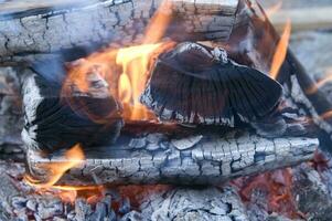 ein schließen oben von ein Feuer mit Holz und Kohle foto