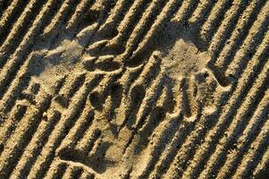 ein Hand drucken im das Sand mit zwei Hände foto