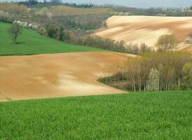 Landschaft Aussicht im Frühling foto