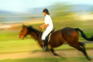 ein Person Reiten ein Pferd foto