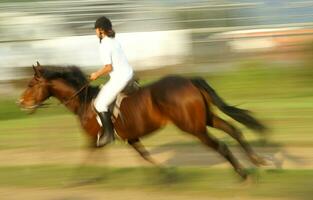 ein Person Reiten ein Pferd foto