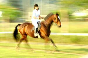 ein Person Reiten ein Pferd foto