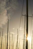 Masten von Segelboote beim Sonnenuntergang foto