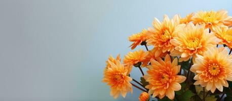 ein Nahansicht fotografieren von ein Strauß von Orange Chrysanthemen mit Kopieren Raum foto