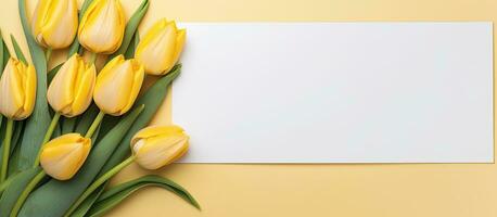 Kork Bekanntmachung Tafel und ein Weiß Stück von Papier sind Gelb Tulpen. leeren Raum verfügbar zum foto