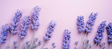 Bild von Lavendel Blumen auf ein Pastell- Hintergrund. das Foto ist genommen von ein oben Sicht, mit das