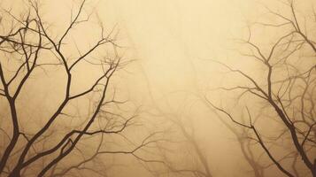 Sepia getönt nackt Baum Geäst foto