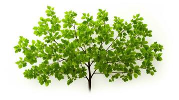 Grün Silhouette von ein blühen Baum auf ein Weiß Hintergrund Darstellen ein kreativ Natur Konzept gefangen ästhetisch im ein eben legen foto