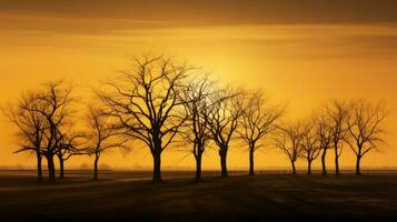 golden Abend Himmel im das flämisch Landschaft mit nackt Baum Silhouetten foto