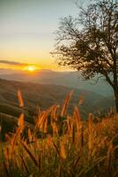 Sommer- Berge mit Sonnenuntergang Aussicht von Natur Cliff Berg. foto