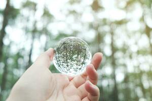 speichern Welt. Erde Tag. Energie Speichern Konzept. Kristall Glas Ball im Natur Kiefer Park foto