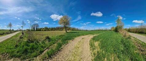 Schönes hochauflösendes Panorama einer nordeuropäischen Landschaft mit Feldern und grünem Gras foto