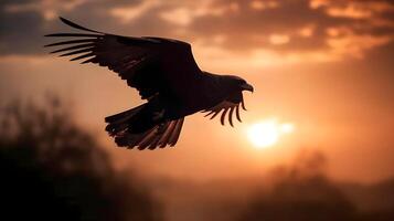 golden Adler aquila Chrysaetos fliegend im das Luft mit Berg und Hochland Wald Hintergrund Abend Sonnenuntergang golden Stunde. ai generiert foto