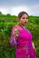 ein asiatisch Frau im ein Rosa Kleid ist Stehen im Vorderseite von ein Tee Garten foto