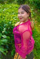 ein asiatisch Frau im ein Rosa Kostüm ist posieren im Vorderseite von ein Tee Plantage foto