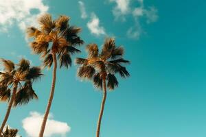 Unterseite Nieder Aussicht von Kokosnuss Palme Bäume und Himmel von das Strand Punkt. mit Blau Himmel breit Winkel. ai generiert foto