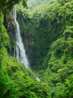 Wasserfall im das Urwald ai generiert foto