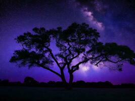 ein majestätisch Baum silhouettiert gegen ein Hintergrund von das riesig Nacht Himmel gefüllt mit Sterne ai generiert foto