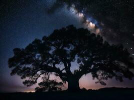 ein majestätisch Baum silhouettiert gegen ein Hintergrund von das riesig Nacht Himmel gefüllt mit Sterne ai generiert foto