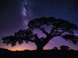 ein majestätisch Baum silhouettiert gegen ein Hintergrund von das riesig Nacht Himmel gefüllt mit Sterne ai generiert foto