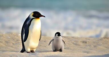 Papa oder Mama und Baby Pinguin. Vater Liebe, Bindung und Erziehung Konzept. foto