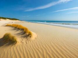 das Sand Dünen und Gras auf das Strand ai generiert foto