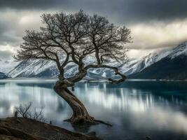 ein einsam Baum steht auf das Ufer von ein See mit Berge im das Hintergrund ai generiert foto