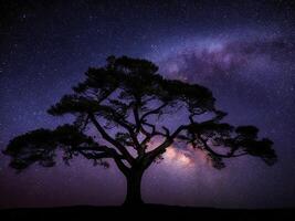 ein majestätisch Baum silhouettiert gegen ein Hintergrund von das riesig Nacht Himmel gefüllt mit Sterne ai generiert foto