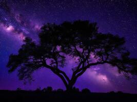 ein majestätisch Baum silhouettiert gegen ein Hintergrund von das riesig Nacht Himmel gefüllt mit Sterne ai generiert foto