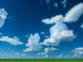 ein groß Feld mit ein Blau Himmel und Wolken ai generiert foto