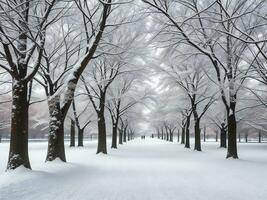 ein schneebedeckt Pfad im ein Park mit Bäume ai generiert foto