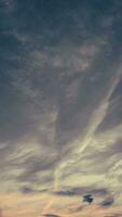 Dämmerung vertikal, Sonnenuntergang Himmel Dämmerung im das Abend mit bunt Sonnenlicht und dunkel Blau Himmel mit Wolken, majestätisch Sommer- nett Himmel Vertikale. foto