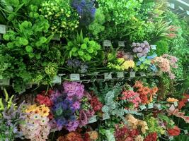kuaro Kalimantan Timur, Indonesien 12 August 2023. Pflanzen und Blumen im das Geschäft zum Hintergrund foto